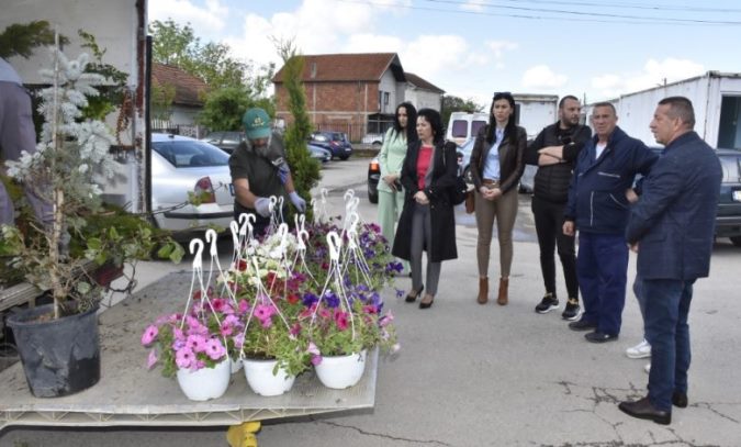Sadnice i cveće za dvorište Doma zdravlja u Ugljaru
