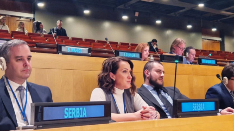 Paunović i Zukorlić na Parlamentarnom slušanju u UN: Srbi na Kosovu proživljavaju nezabeleženu torturu