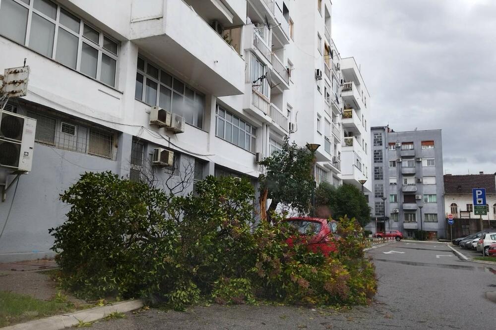 Crna Gora: U Podgorici padala stabla, poplave u Herceg Novom
