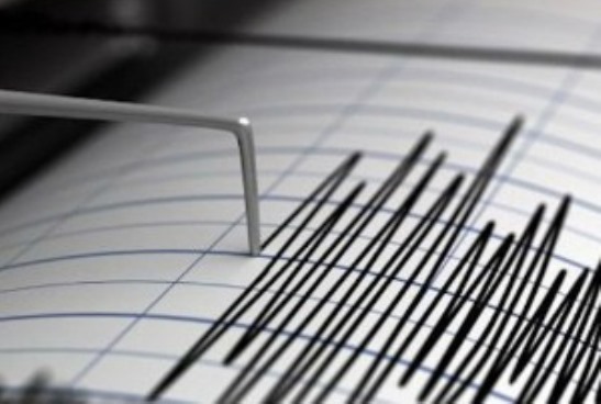 Zemljotres jačine 3,8 stepeni po Rihteru na jugu Bugarske