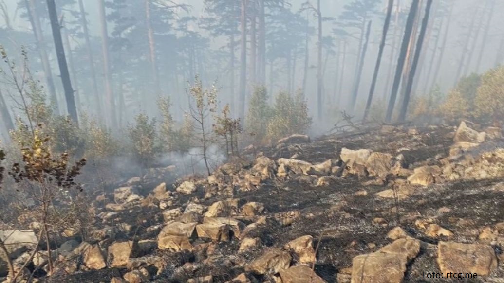 CG: Od požara najugroženiji Nikšić, Cetinje i region Tare