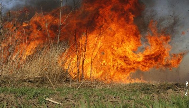 Požar u blizini Sokolice