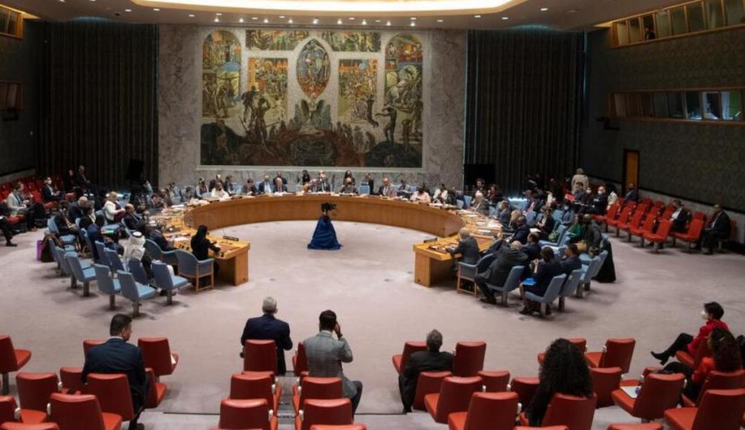 SB UN nije usvojio nacrt ruske rezolucije o Ukrajini