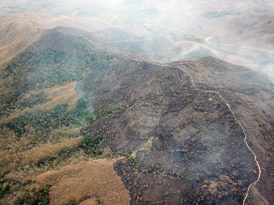Bolsonaro zabranio spaljivanje šuma narednih 60 dana