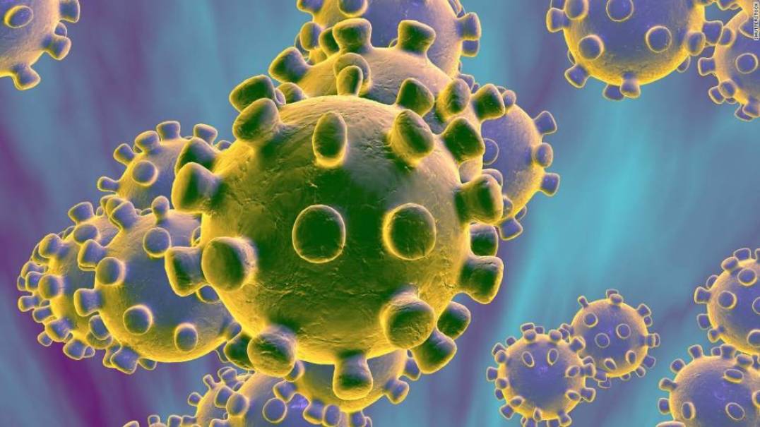 Institut za mikrobiologiju: Izolovan britanski soj virusa korona