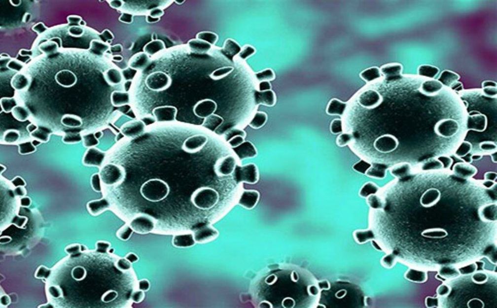 SZO: Malo verovatno da se virus širio iz laboratorije u Vuhan