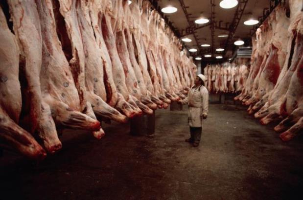 Saudijska Arabija odobrila uvoz mesa i mleka iz Srbije