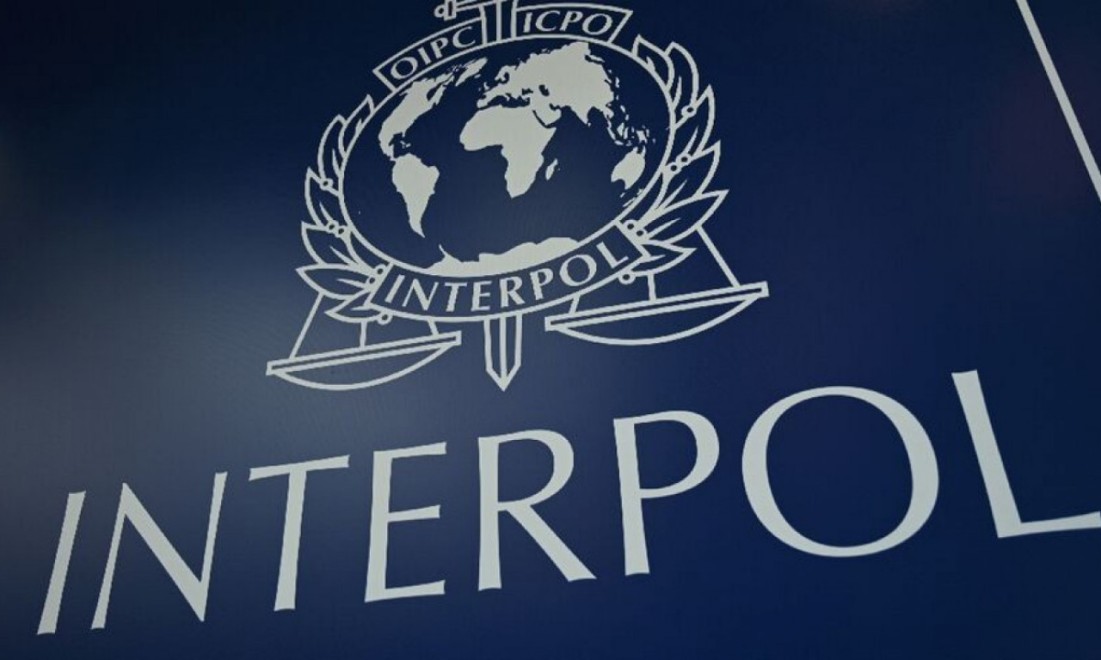 Interpol zaplenio hiljade komada oružja i drogu u vrednosti od 5,7 milijardi dolara