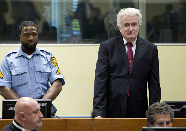 Advokat Karadžića: Tražićemo ponovno suđenje zbog novih dokaza