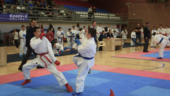 Na takmičenju u karateu oko 90 učesnika sa severa Kosova, zlato Stefanu Timotijeviću