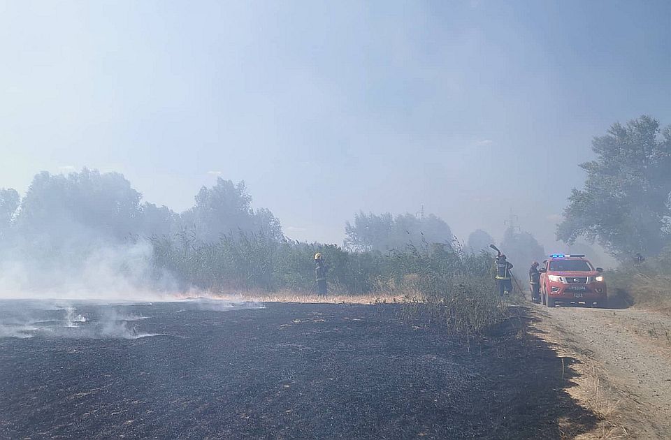Požar u blizini Rafinerije nafte u Novom Sadu, gori nisko rastinje