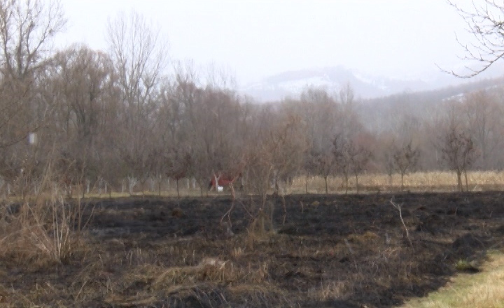 Grabovac: Velika šteta od požara izazvanog paljenjem strništa