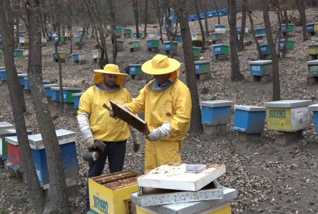 Jovanovići iz sela Dren počeli sa pet košnica, danas imaju nukleuse u četiri pčelinjaka