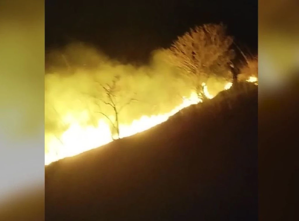 Ugašen veliki požar kod Rakovca na Fruškoj gori, izgorelo 50 hektara zemlje