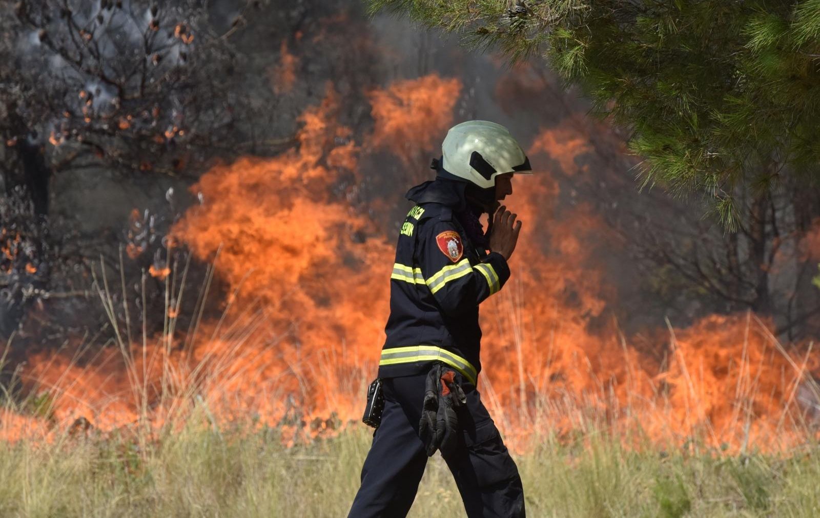 Grčka: Vatrogasci nastavljaju napore da obuzdaju šumski požar
