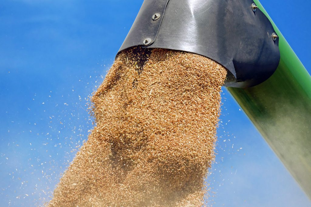 Postignut sporazum o izvozu žita iz regiona Zaporožje 