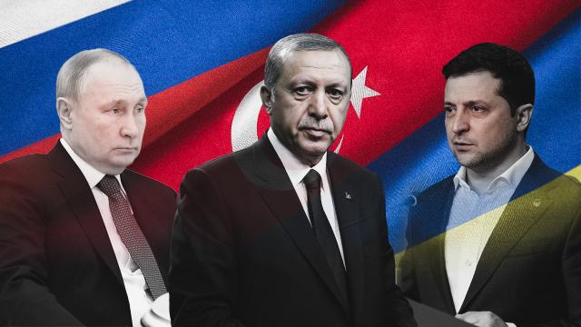 Erdogan: Razgovaraću danas sa Putinom i Zelenskim 