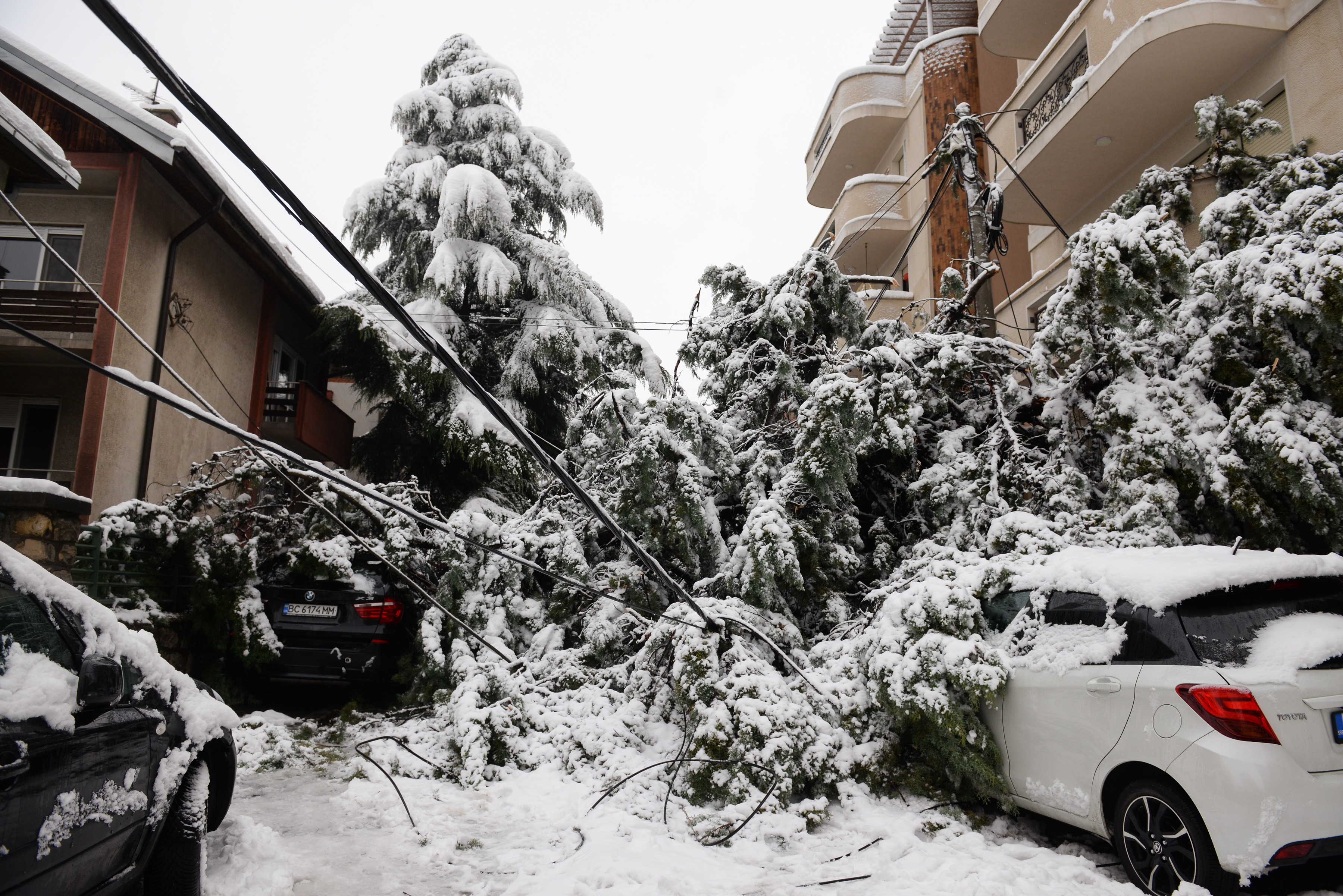 Zbog snega oko 55.000 ljudi bez struje, vanredno u 4 opštine
