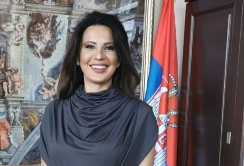 Vujičić: Politika opozicije prema Kosovu i Metohiji 