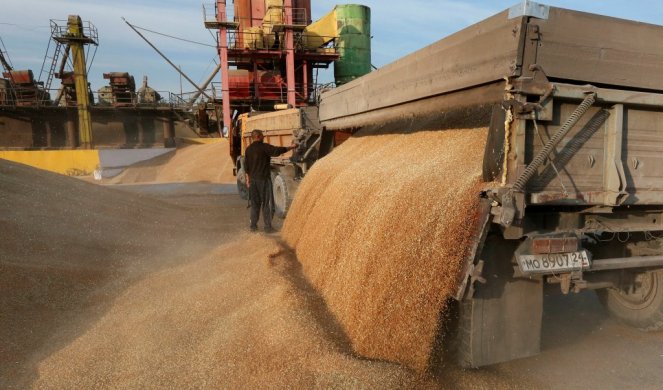 Očekuje se dobar prinos žitarica u Ukrajini  